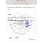 Copyright Registration Mexico