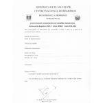 Verlängerung Design Patent El Salvador