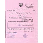 Verlängerung Design Patent Kuwait